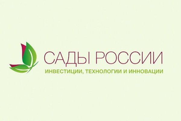 Кракен дарк сайт