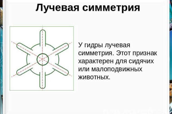 Kraken21 at сайт
