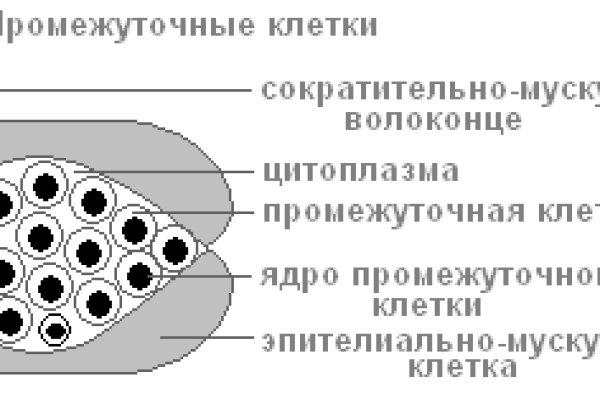 Кракен сайт бошки