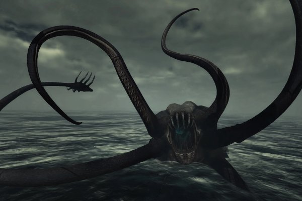 Kraken com